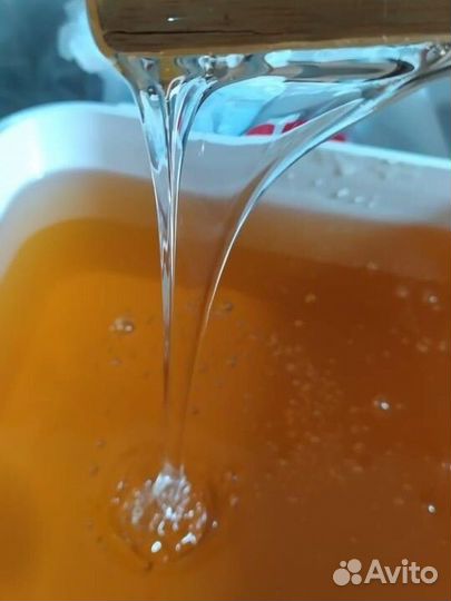 Оптовые поставки мёда Липа Акация Гречишный Донник