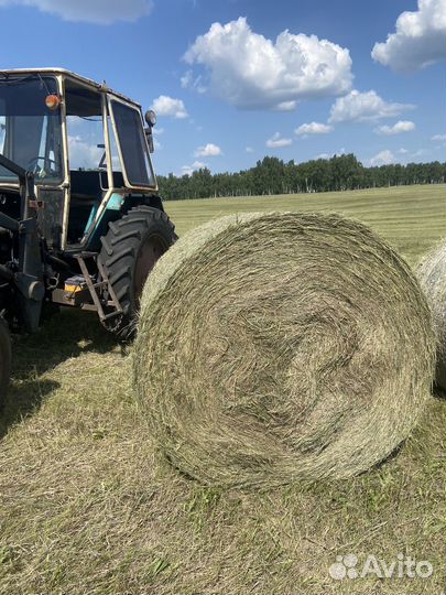 Сено в тюках