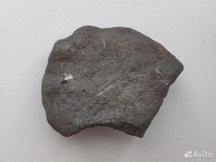 Каллекционерский камень, с отпечатком