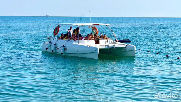 Морские прогулки, Рыбалка