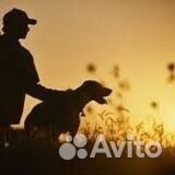 Охотник/Егерь