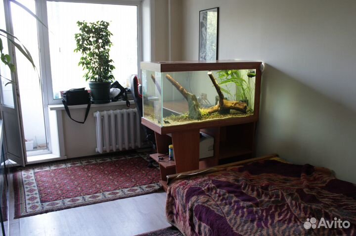 Аквариум в каждый дом