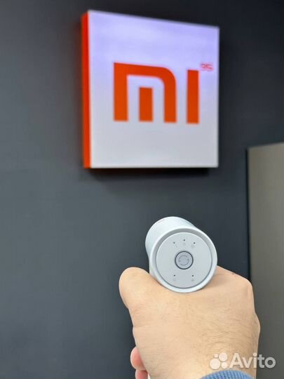 Xiaomi Mijia Mini Massage Gun 2C