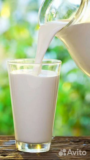 Молоко коровье домашнее
