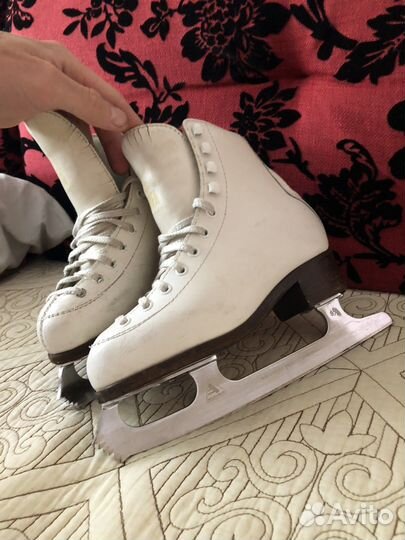 Фигурные коньки wifa prima 31 L