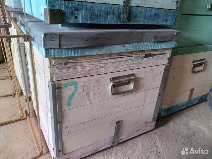 Ульи, пасека