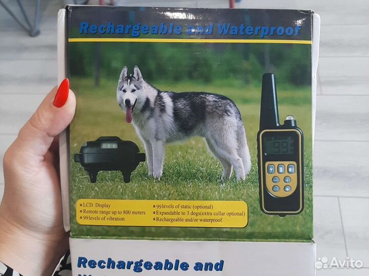 Ошейник для собак