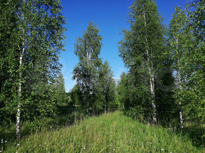 Участок 2,14 га (ИЖС)