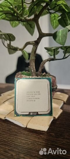 Pentium 2.50