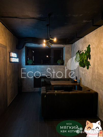 Карта мира со мхом в кафе