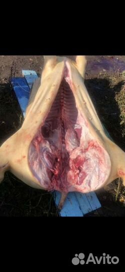Мясо свинина домашняя
