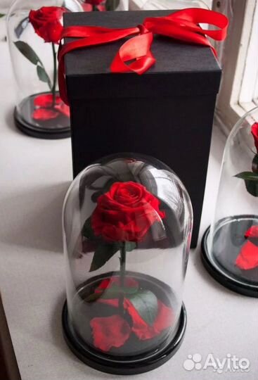 Вечная роза в колбе