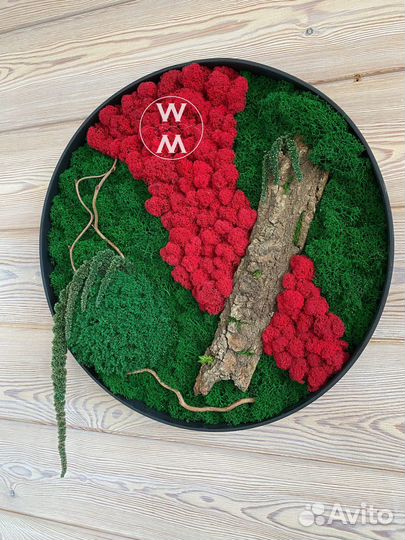 Панно из стабилизированного мха