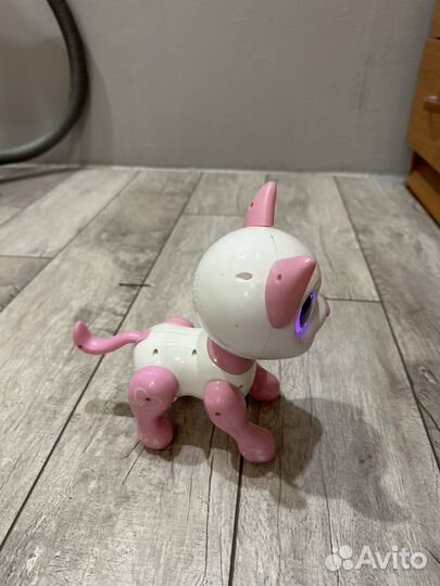 Интерактивные собачка