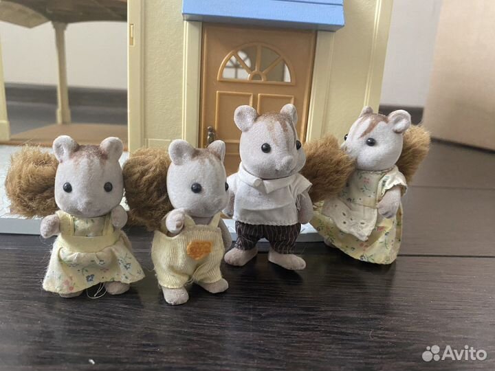 Сильвания фэмили семьи