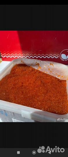 Икра Камчатка 2023