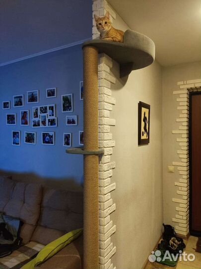 Когтеточки и домики для кошек