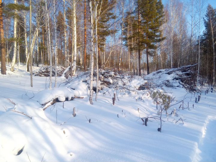 Участок 27 сот. (СНТ, ДНП)