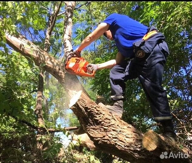 Вывоз мусора, уборка территории, демонтаж