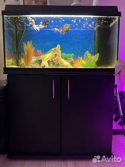 Аквариум с тумбой juwel 110 л