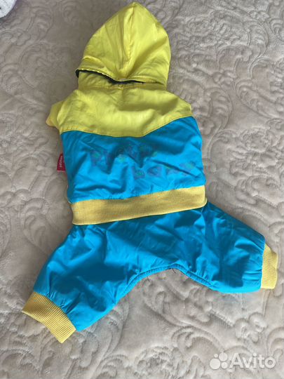 Одежда для любимого питомца, мешком