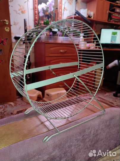 Большое колесо для грызунов