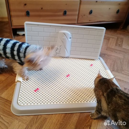 Лоток для собак