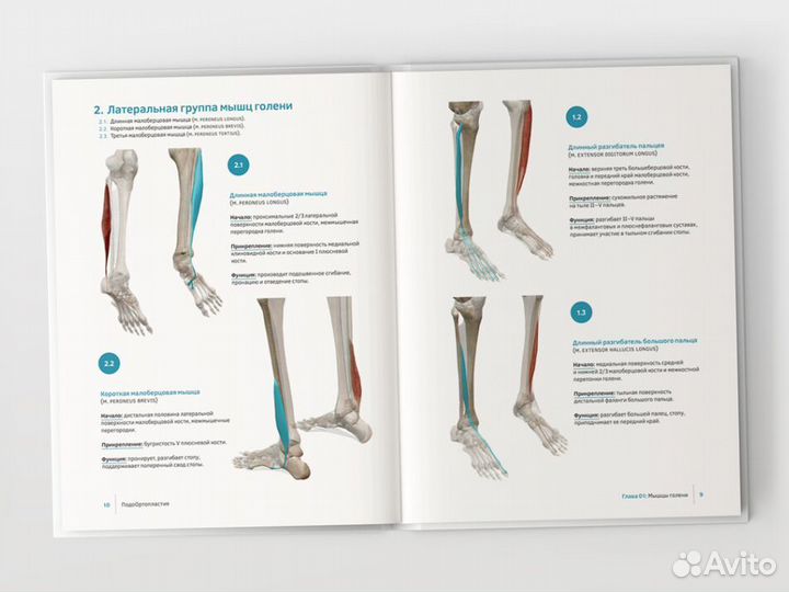 Книга по Подо Ортопластии
