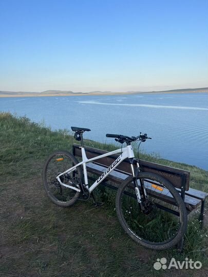 Corratec vert halcon