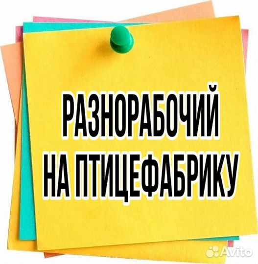 Разнорабочий на птицефабрику(без опыта)