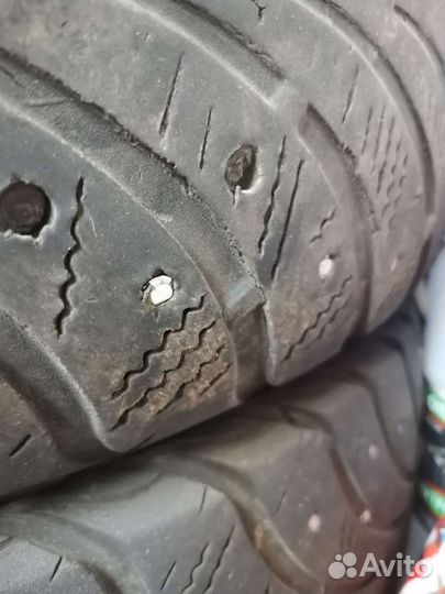 Sava Eskimo Stud 205/55 R16