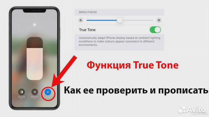 Ремонт iPhone. Перенос и восстановление True Tone