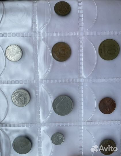 Коллекция монет в альбоме