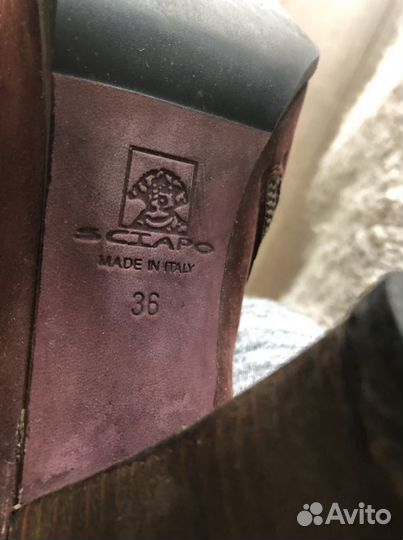 Сапоги sciapo женские