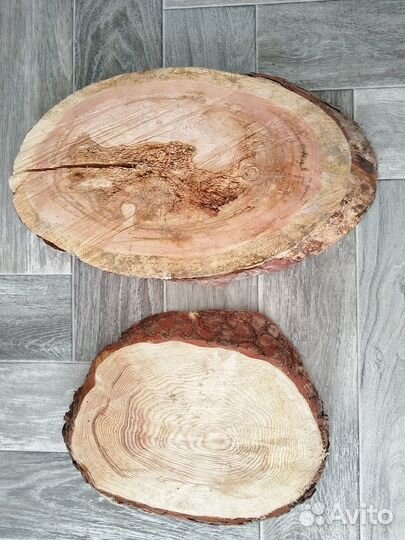 Спилы дерева