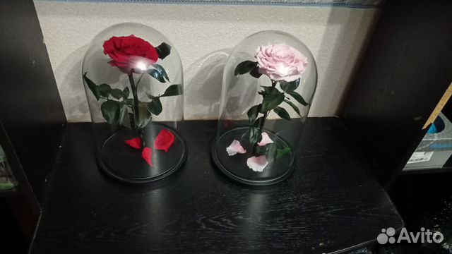 Роза в колбе кинг белая + коробка + гравировка