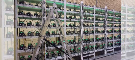 современная ферма asic майнеров 2026