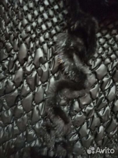 Куртки весна осень