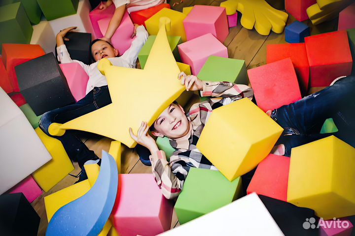 Шоу программы