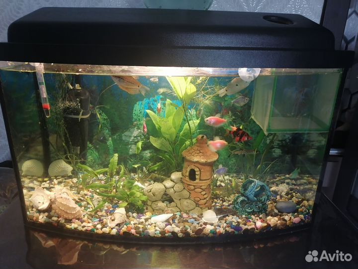 Аквариум 60л