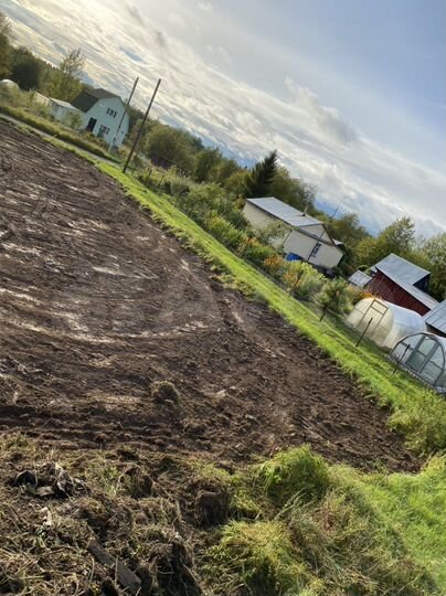 Участок 35 сот. (ИЖС)