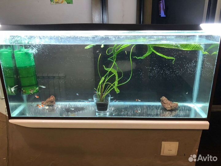 Аквариум