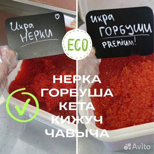 Красная икра кета горбуша нерка чавыча кижуч