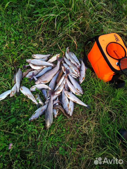 Крючки Chinu ring с напайкой в наличии и под заказ
