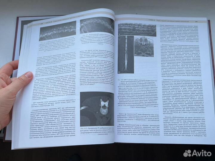 Руководство по ветеринарной неврологии