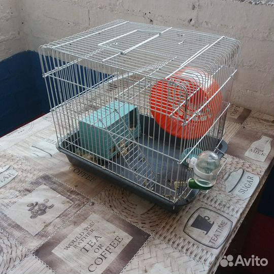 Сирийский хомяк с клеткой