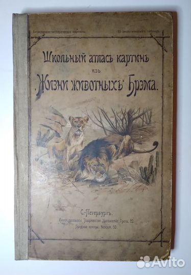 Животные. Атлас картин. Гравюры. Брэм
