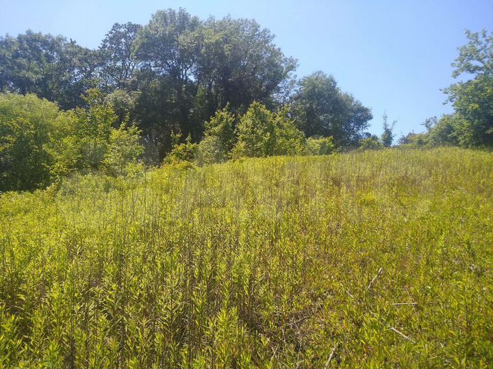 Участок 1,15 га (ИЖС)