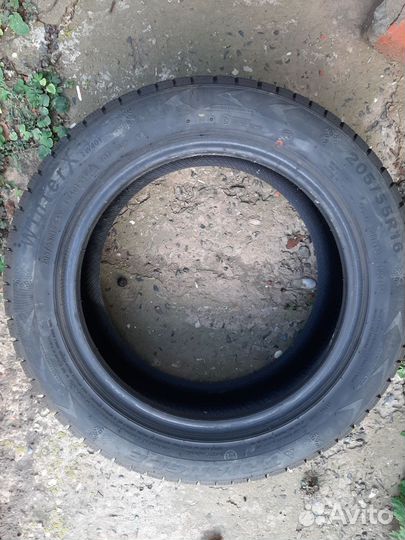 Triangle WinterX TW401 205/55 R16 92T