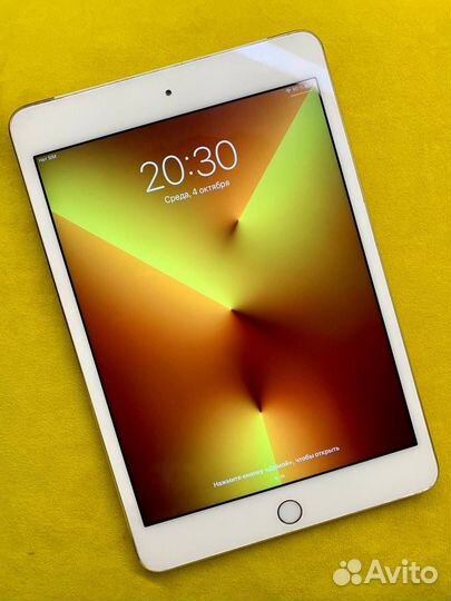 iPad mini 4 cellular